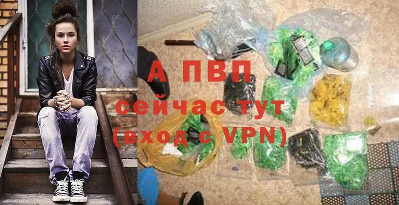 A PVP СК КРИС  Арсеньев 